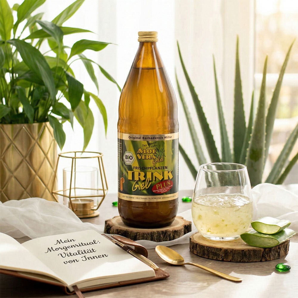 Wahre Schönheit kommt von innen: Die faszinierende Wirkung der Aloe Vera Trinkgele
