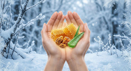 Aloe Vera Magazin Ratgeber fr Pflege und Vitalitt