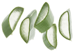 Kleine grüne Aloe Vera Stücke frisch in Scheiben geschnitten