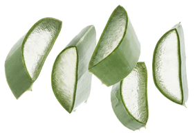 Kleine grüne Aloe Vera Stücke frisch in Scheiben geschnitten