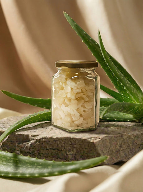 when to consume aloe vera juice Savia