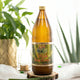 Eine Flasche Aloe Vera Gold Wilde Aloe Ferox auf einer Baumscheibe